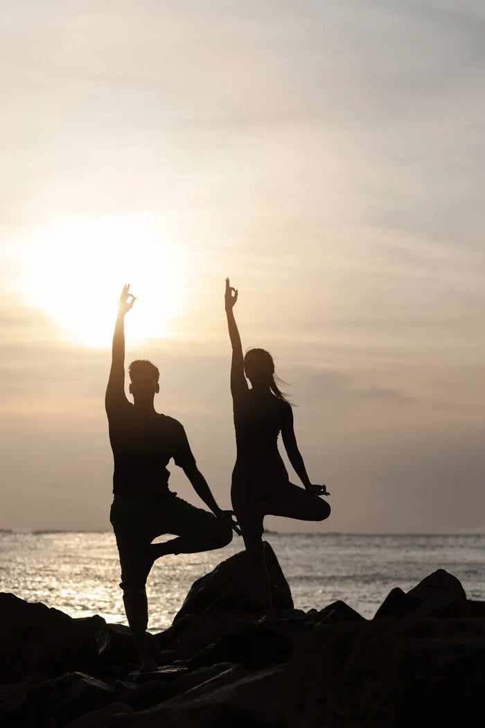 Health & Vitality