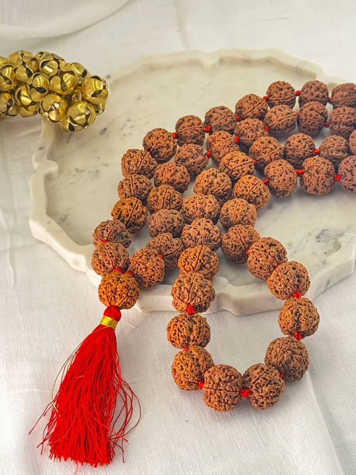 Rudraksha - The Vedic Talisman