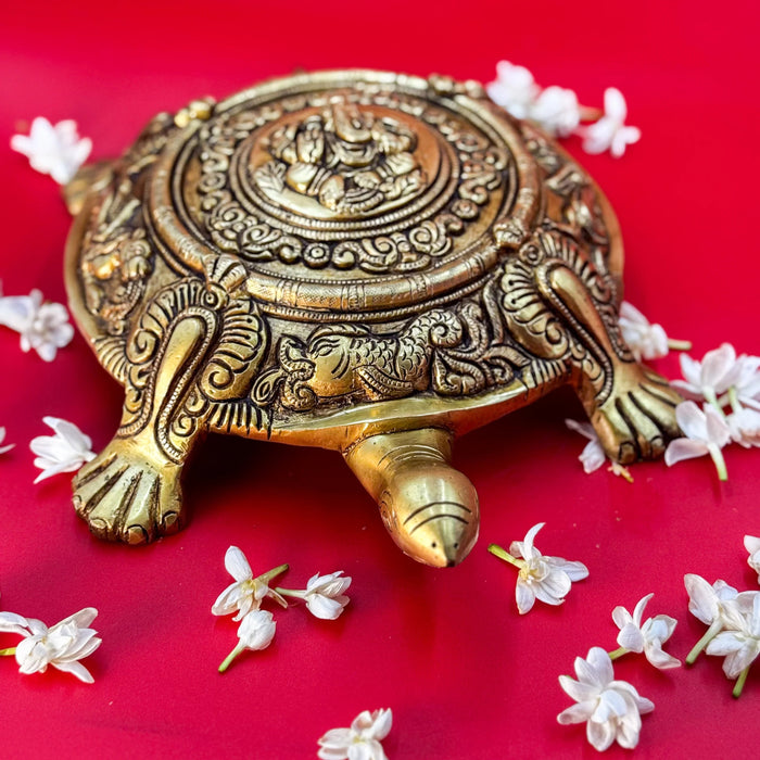 Feng Shui Turtle – Longevity, Stability & Good Luck