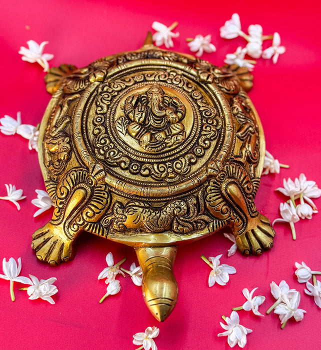 Feng Shui Turtle – Longevity, Stability & Good Luck