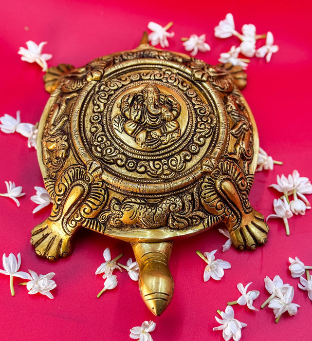 Feng Shui Turtle – Longevity, Stability & Good Luck